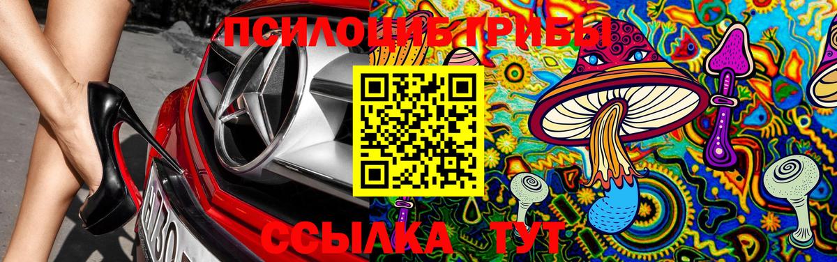 Псилоцибиновые грибы Magic Shrooms Уссурийск