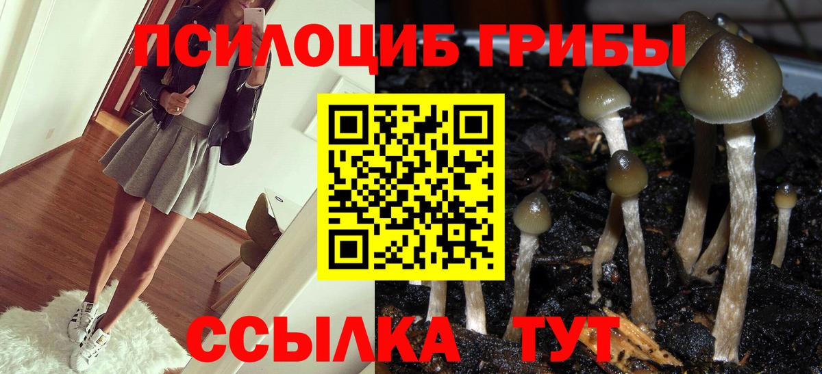 Уссурийск  Псилоцибиновые грибы мухоморы  Галлюциногенные грибы Magic Shrooms  Вход с VPN 